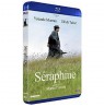 Séraphine (César 2009 du Meilleur Film)