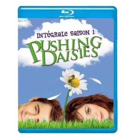 Pushing daisies, saison 1