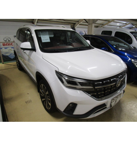 FENGXING T5 EXCLUSIVE 257000P