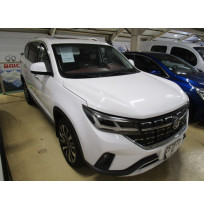 FENGXING T5 EXCLUSIVE 257000P