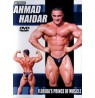 Ahmed Haidar - Le prince du muscle de la Floride
