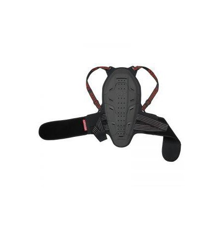 Dorsale moto dorsale Alpinestars BIONIC