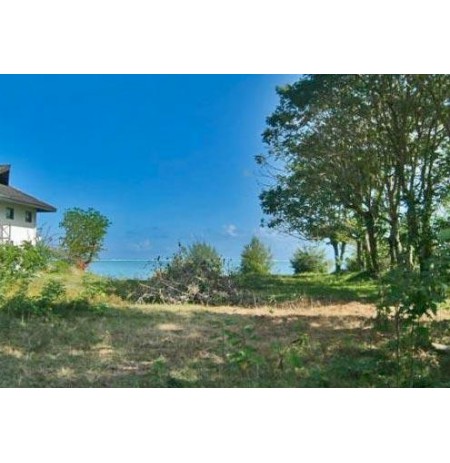 MOOREA Haapiti, Terrain plat de 1500 m2, viabilisé VMHI630