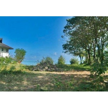 MOOREA Haapiti, Terrain plat de 1500 m2, viabilisé VMHI630