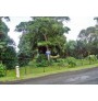 PAPARA Très beau terrain de 5109 m2 VTJO460