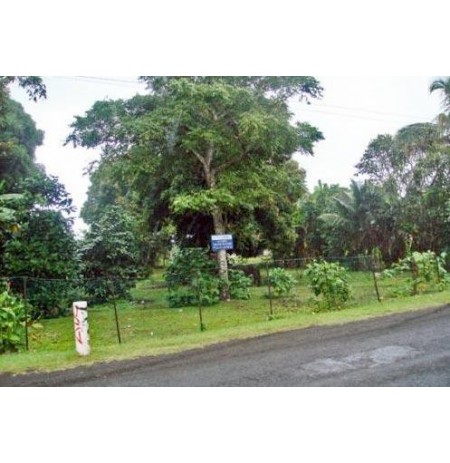 PAPARA Très beau terrain de 5109 m2 VTJO460