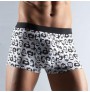 Shorty (lot de 2)