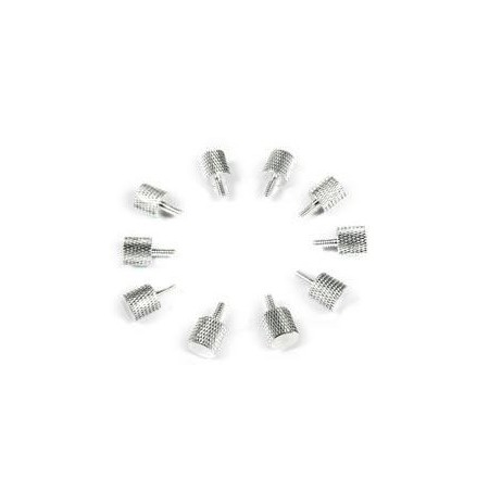 Thermaltake Vis Thumbscrew Couleur Argent (pack de 10)