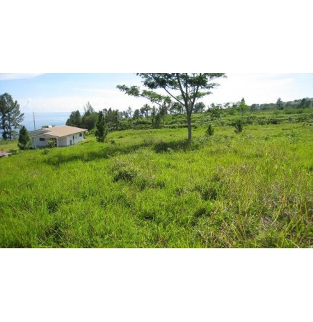 AFAAHITI : Terrain à bâtir plat  Ref 130