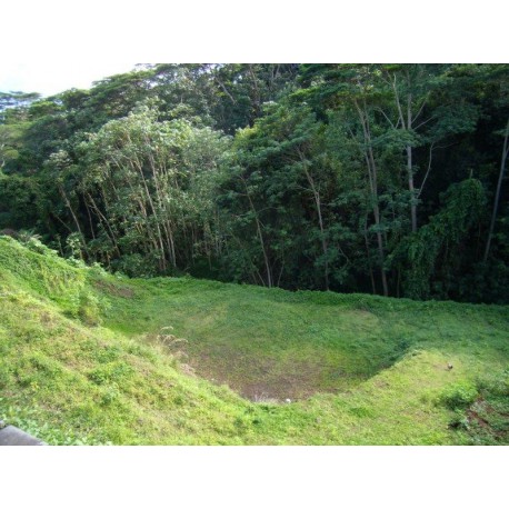 MAHINA : Beau terrain de 800m2 Ref 152