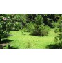 ARUE : Beau terrain de 2620 m2  Ref 159