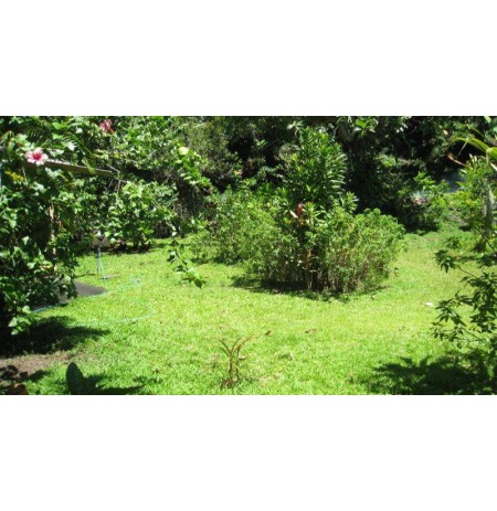 ARUE : Beau terrain de 2620 m2  Ref 159