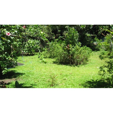 ARUE : Beau terrain de 2620 m2  Ref 159