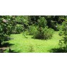 ARUE : Beau terrain de 2620 m2  Ref 159