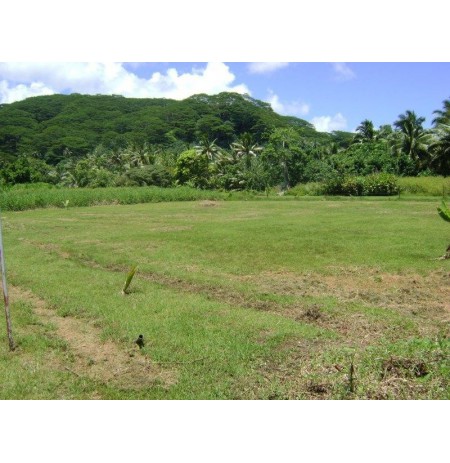 HITIA : Tres beau terrain de 2000 m2  Ref 193