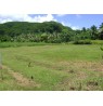 HITIA : Tres beau terrain de 2000 m2  Ref 193