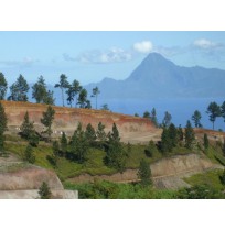 FAA'A : Beau terrain viabilisé 524m  Ref 134