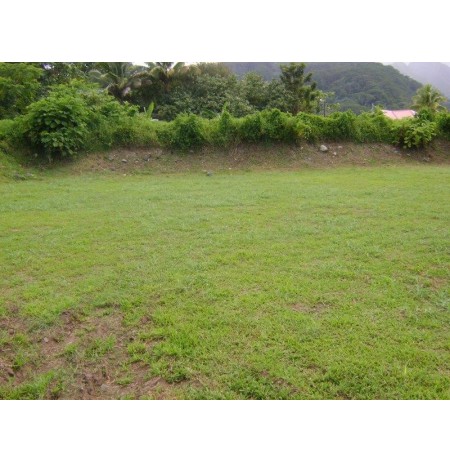 VAIRAO : Beau terrain de 1275 m2 côté mer  Ref 212