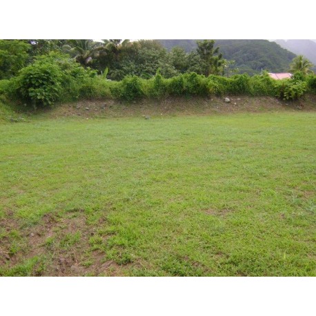 VAIRAO : Beau terrain de 1275 m2 côté mer  Ref 212