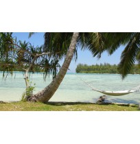 Ref:0287 Haapiti superbe bungalow meublé 