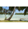 Ref:0287 Haapiti superbe bungalow meublé 