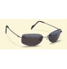 solaires maui jim 310