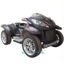 Quad Adulte ATV 800 cc