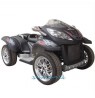 Quad Adulte ATV 800 cc